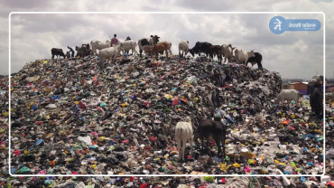 उदयपुर : डम्पिङ साईटमा भेटियो लाश